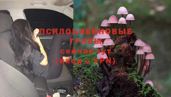 герыч Алексеевка