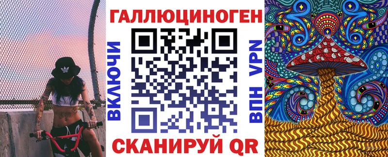 Псилоцибиновые грибы Psilocybe  Глазов 
