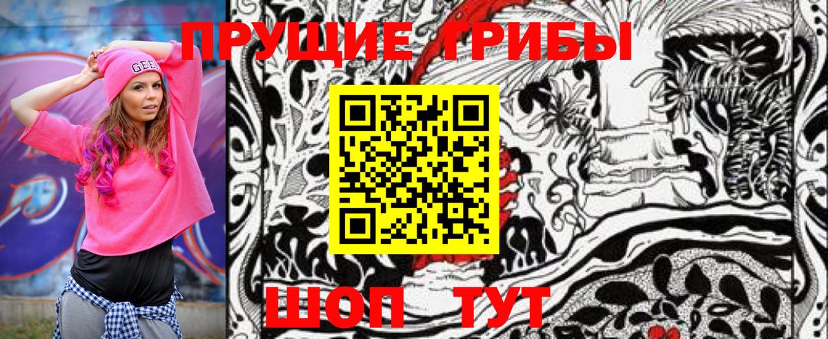 Псилоцибиновые грибы Psilocybine cubensis  Глазов 