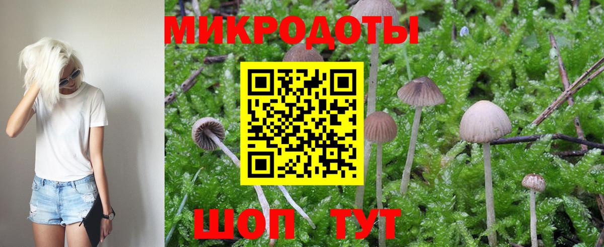 Галлюциногенные грибы MAGIC MUSHROOMS Глазов