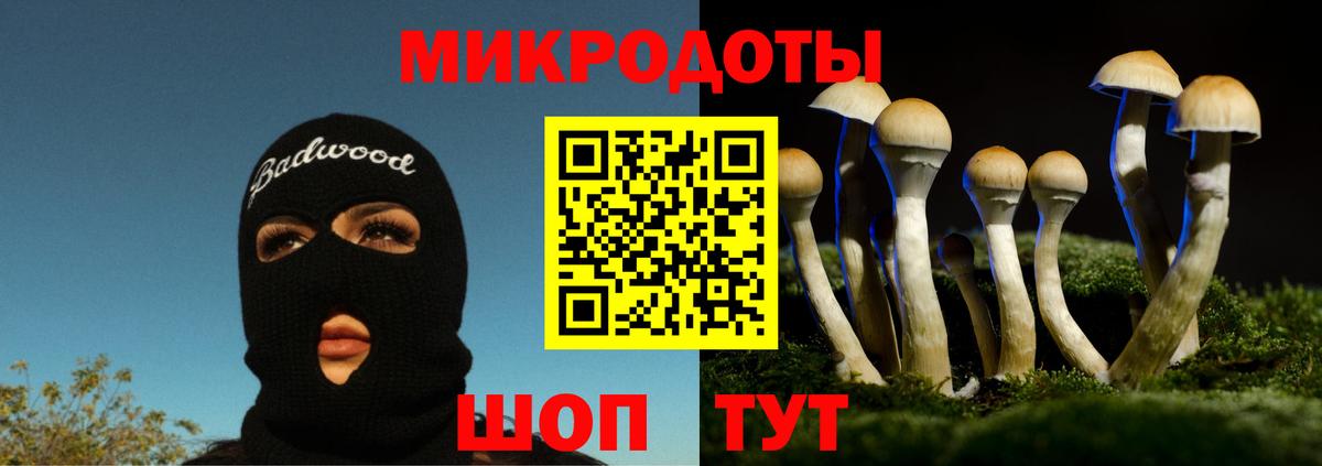 Глазов  Галлюциногенные грибы GOLDEN TEACHER  Вход с VPN 